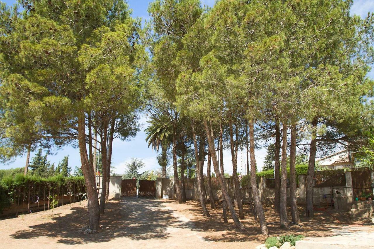 Menta House Preciosa Eco-Casa Con Gran Jardin Y Barbacoa Villa Alcover Bagian luar foto